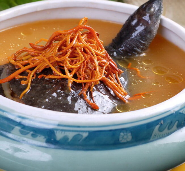 동충하초 자라찜, 충차오뚠쟈위 虫草炖甲鱼